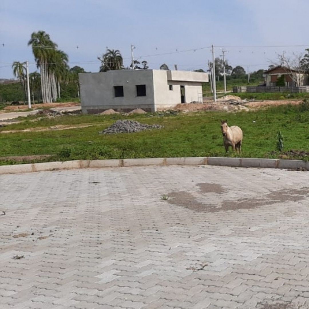 Terreno localizado no Loteamento São Francisco, bairro Senai em Montenegro.